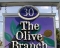 Olive Branch upper face