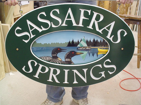 Sassafras Springs2